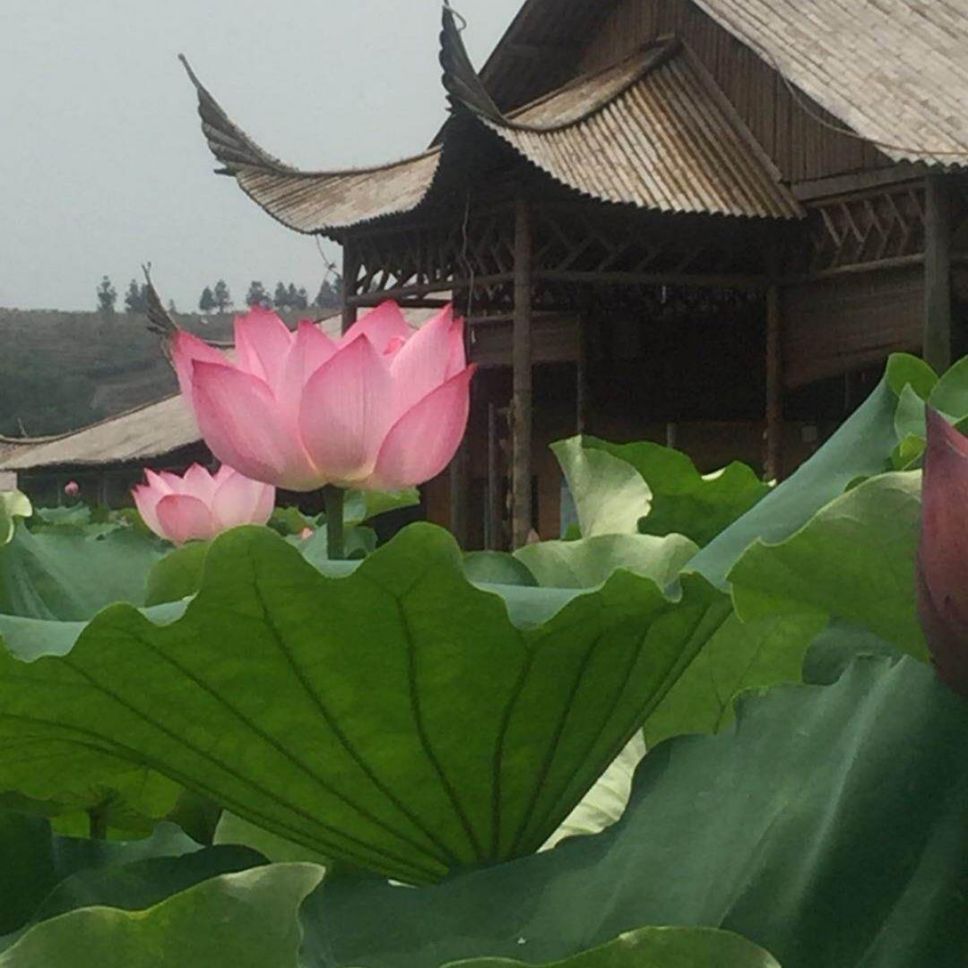 伞下的雨天的厨房