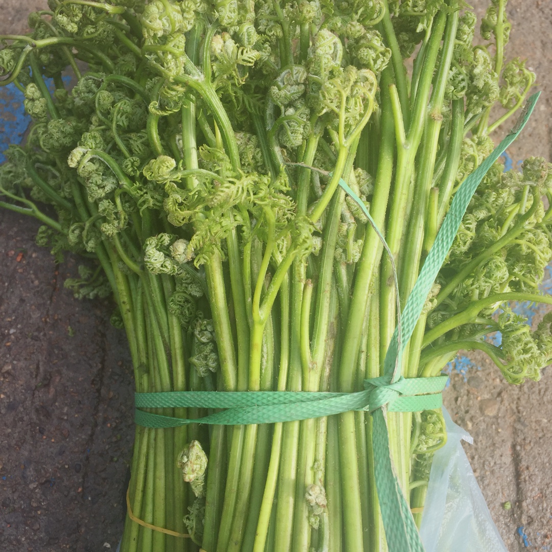 蕨菜处理方法