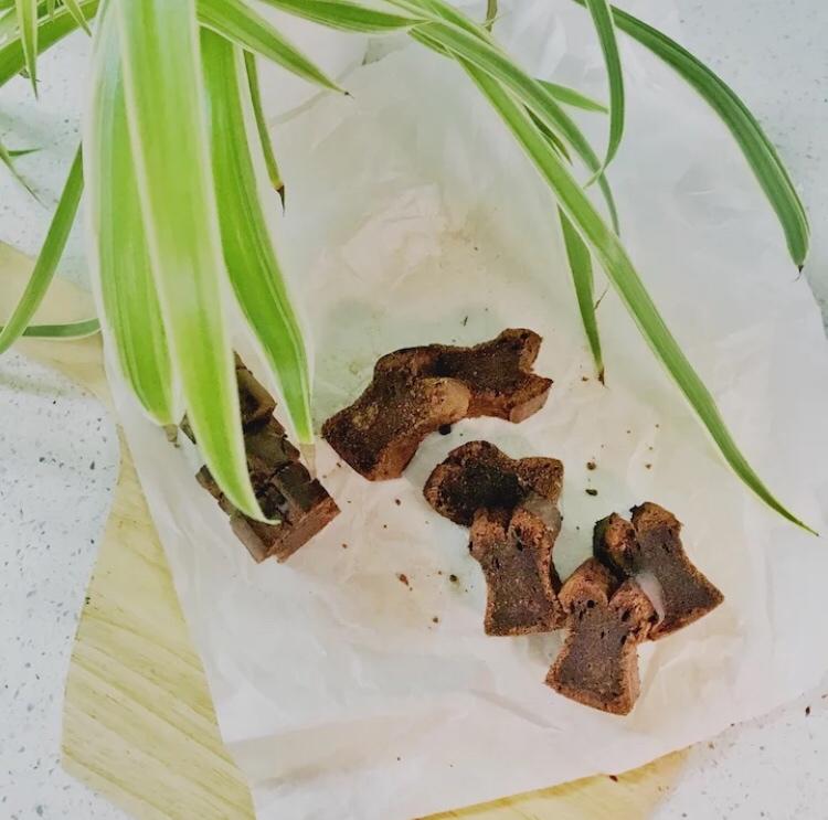 投食记