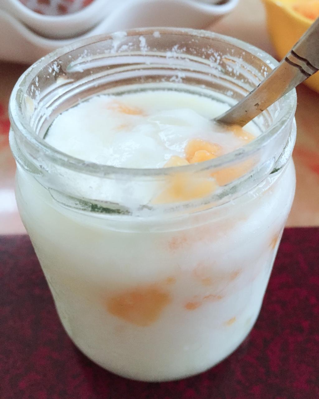 酸奶机自制酸奶