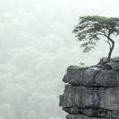 手机用户7061_swrx