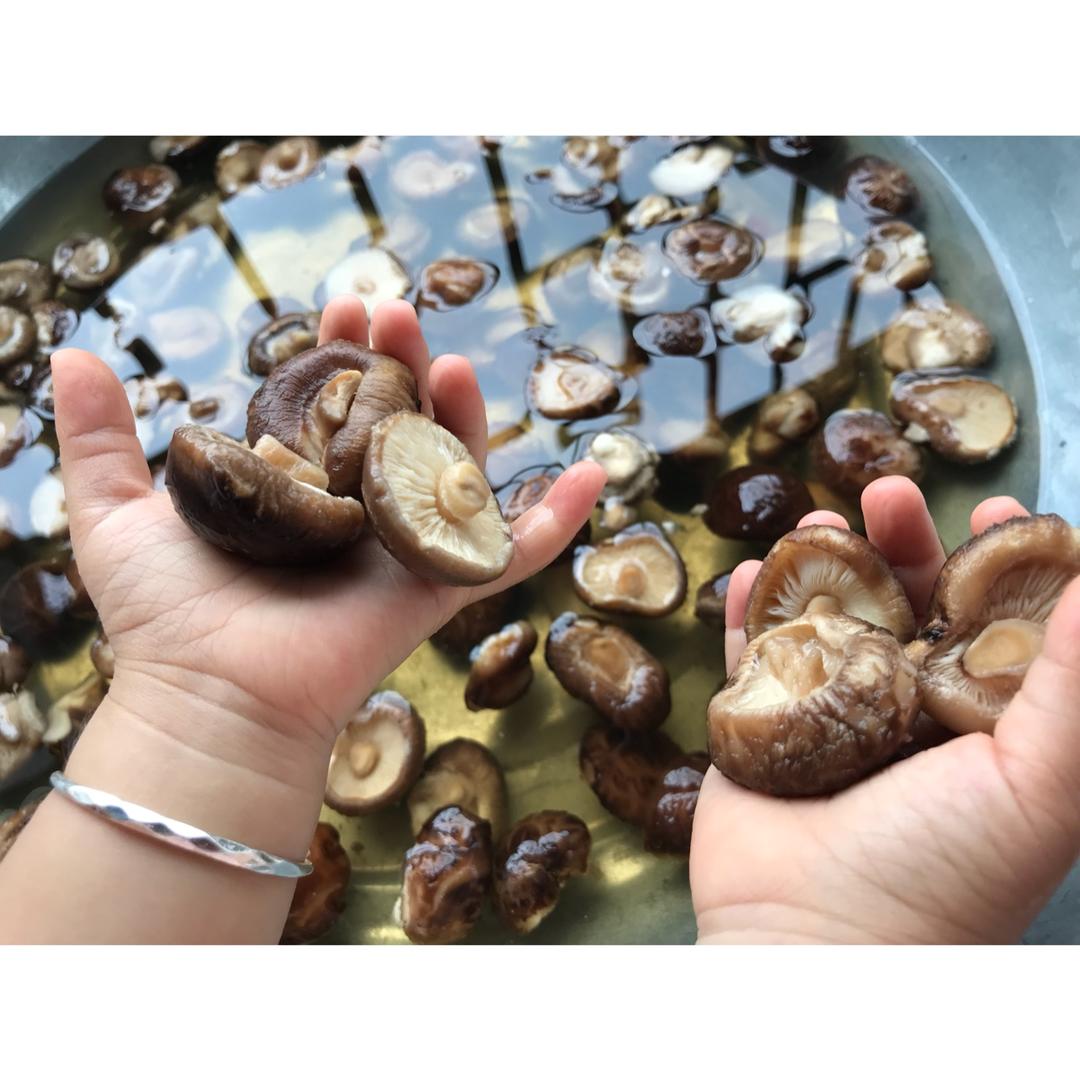 灵芝鱼胶鸡汤（增强体质）