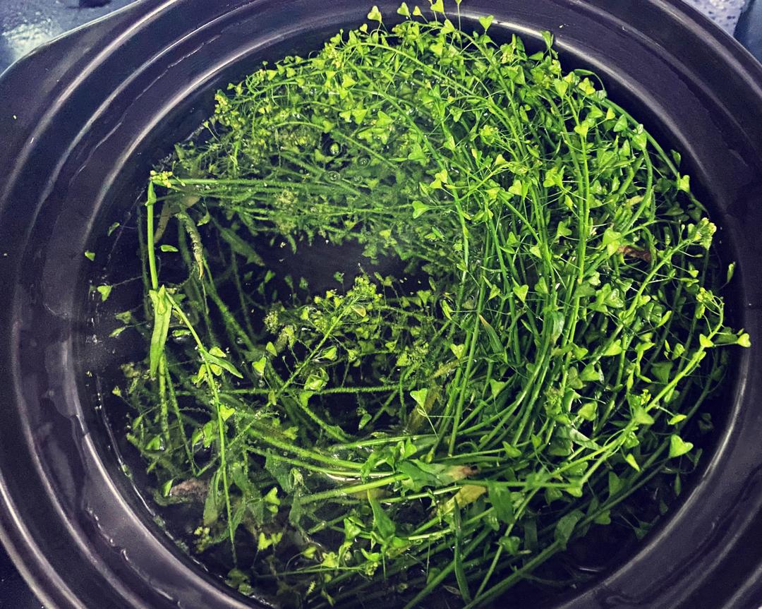 三月三 芥花蛋的做法步骤图 怎么做好吃 全家都是吃货就我一个会做 下厨房