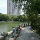 晓晓seven