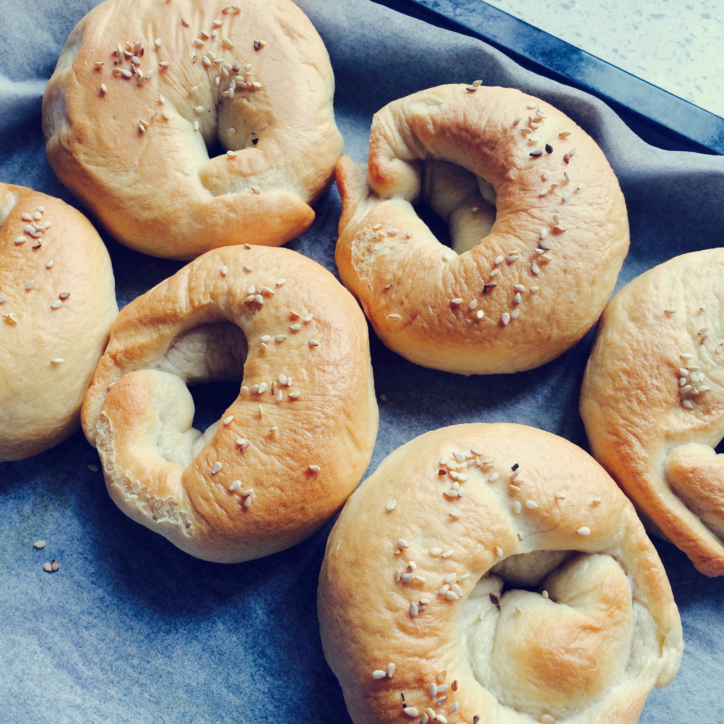 原味贝果