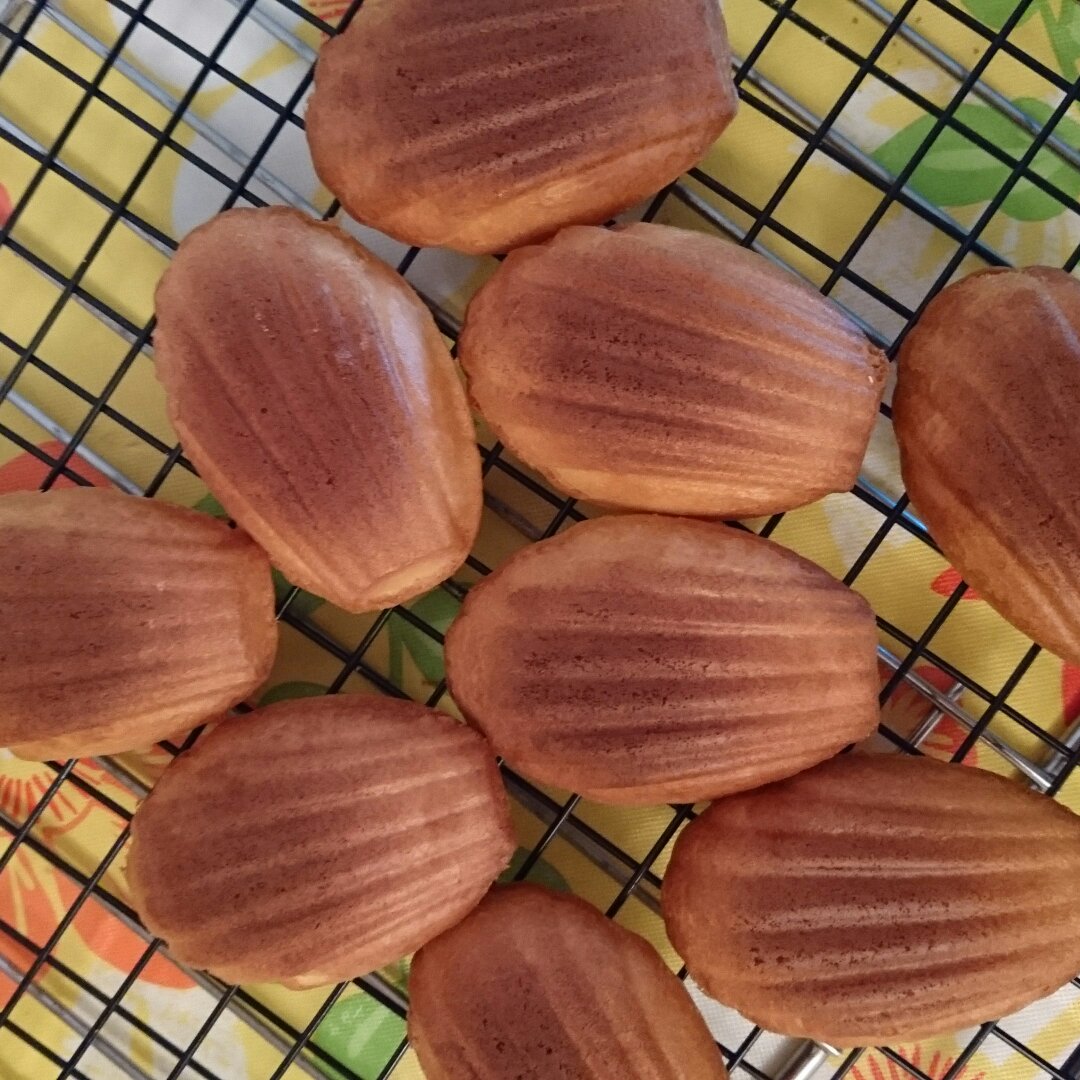 蜂蜜玛德琳（无糖低油超好吃）