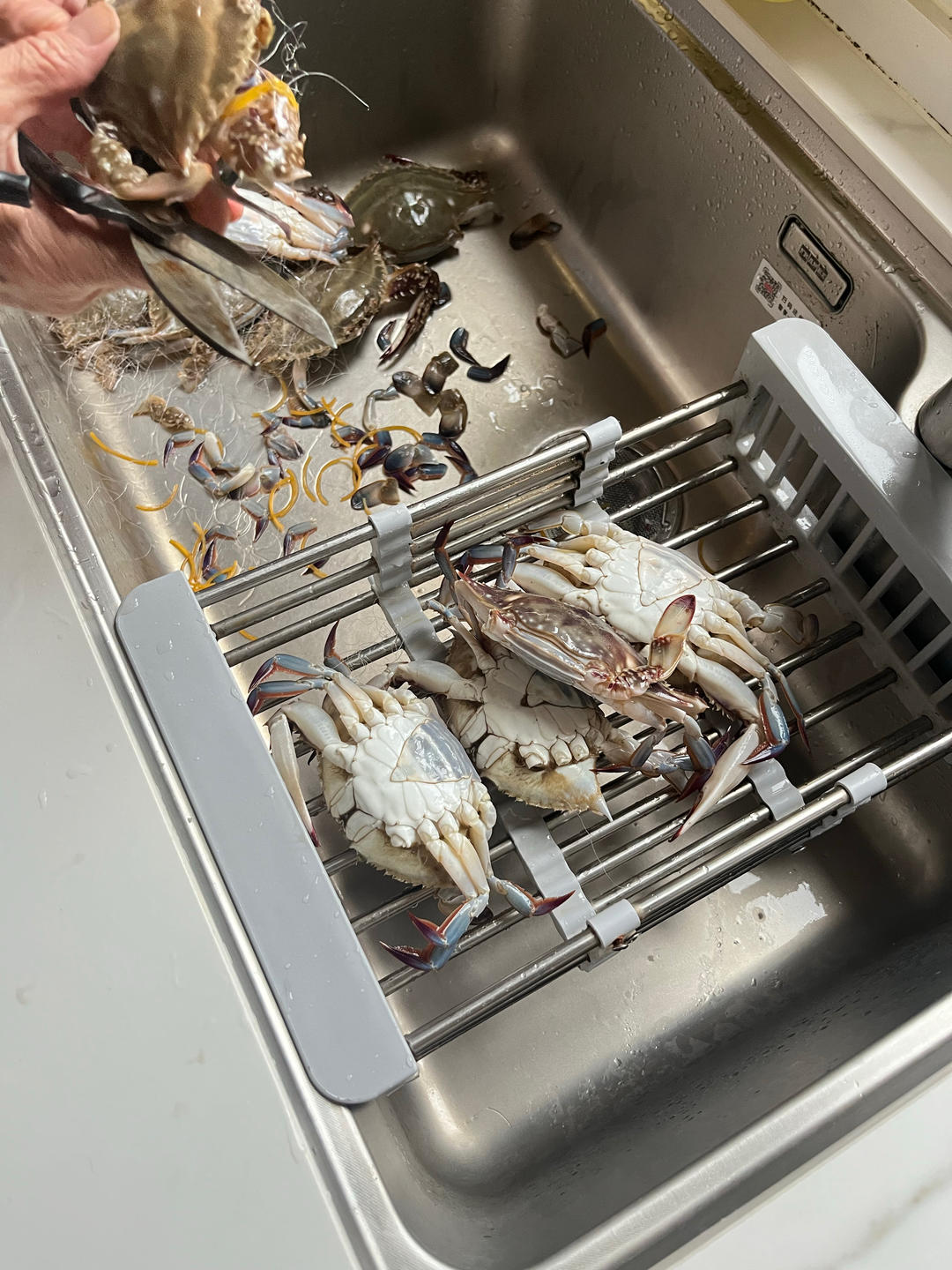 葱姜炒梭子蟹（very easy）