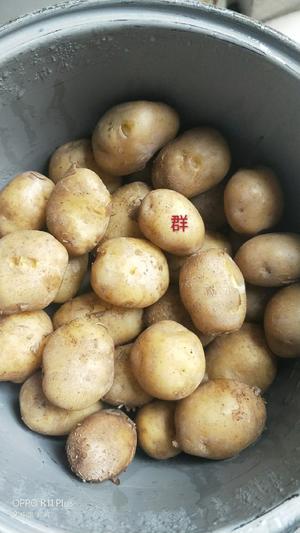煸土豆的做法 步骤1