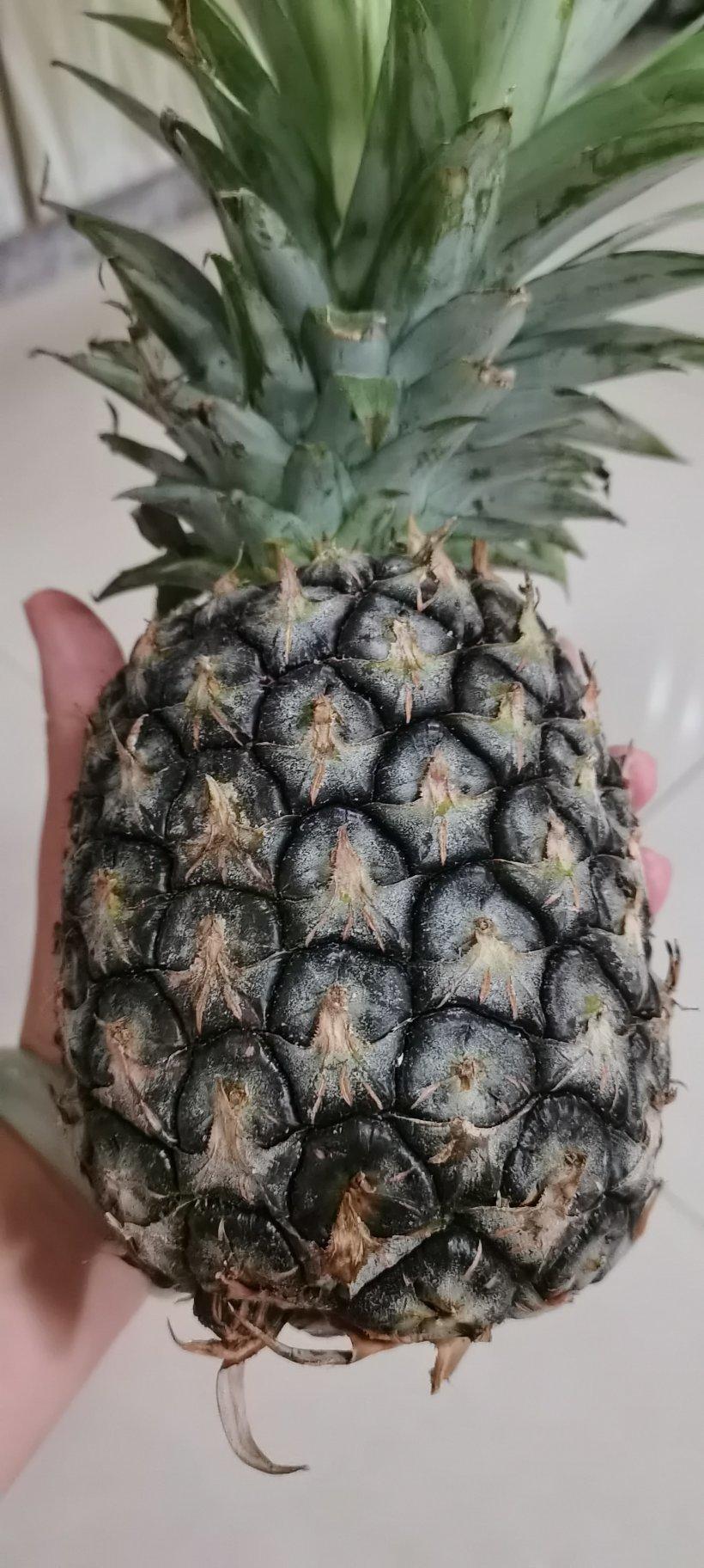 轻松自制凤梨馅