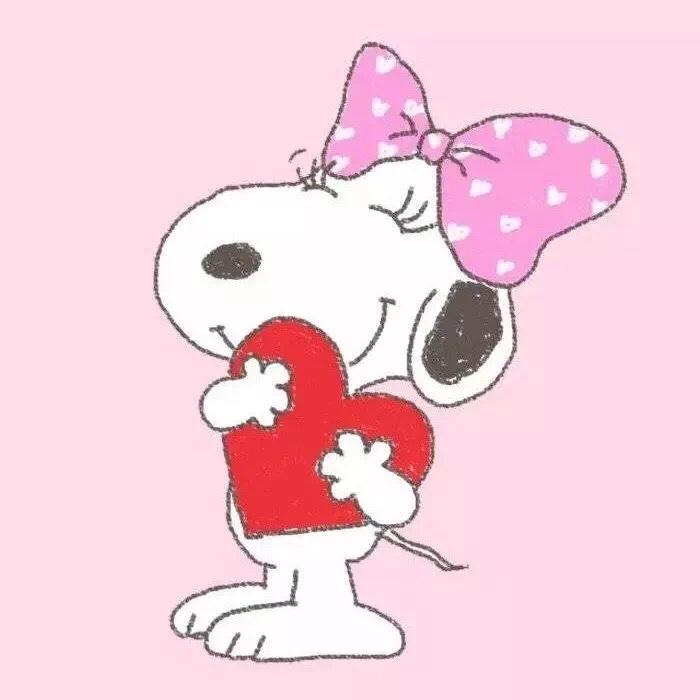 会做饭的招财猫