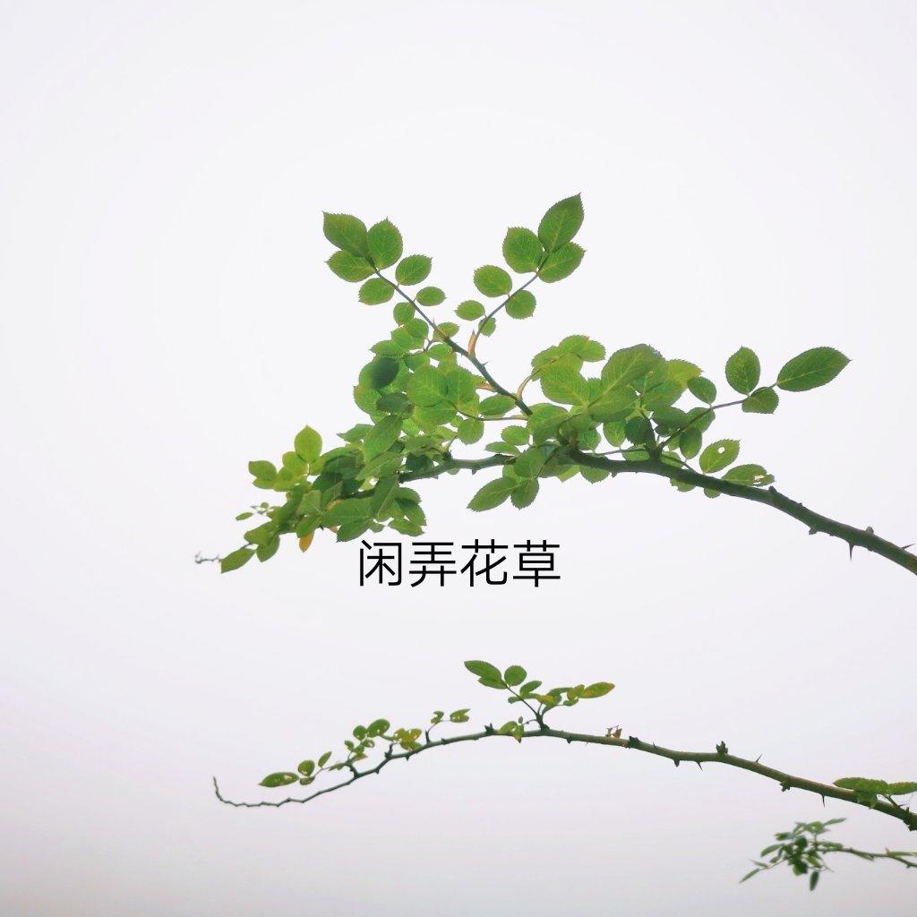 四川冒菜（简易版）