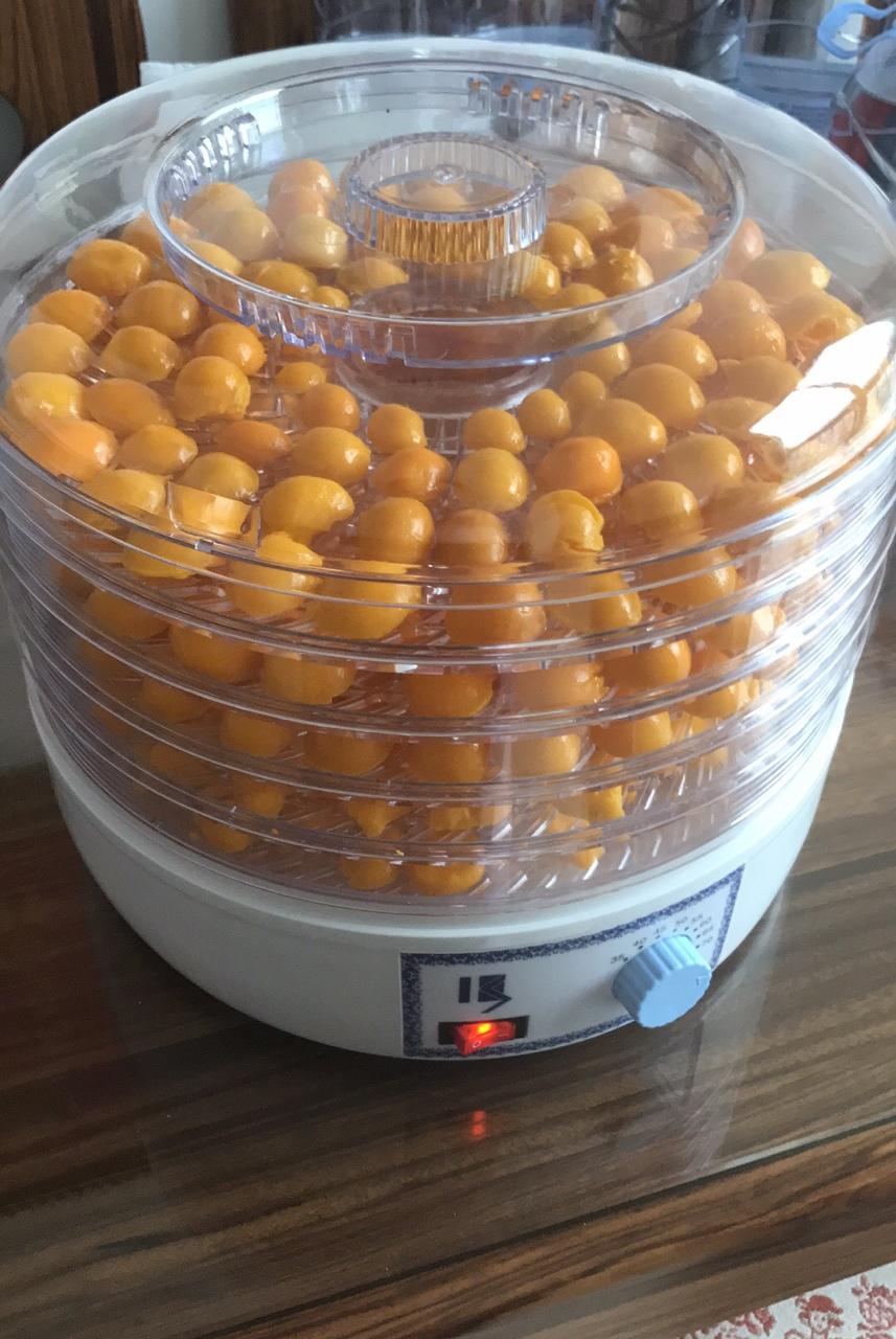 宠物零食——蛋黄粉