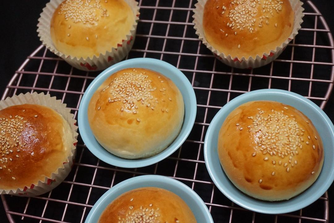 汉堡胚 poolish（波兰种）