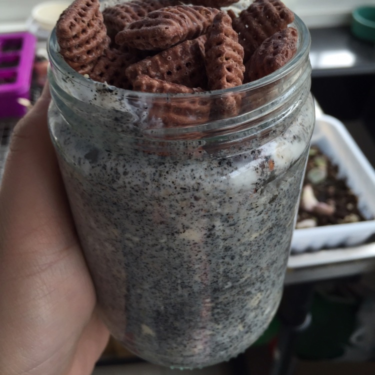 Overnight Oatmeal 隔夜早餐燕麦杯