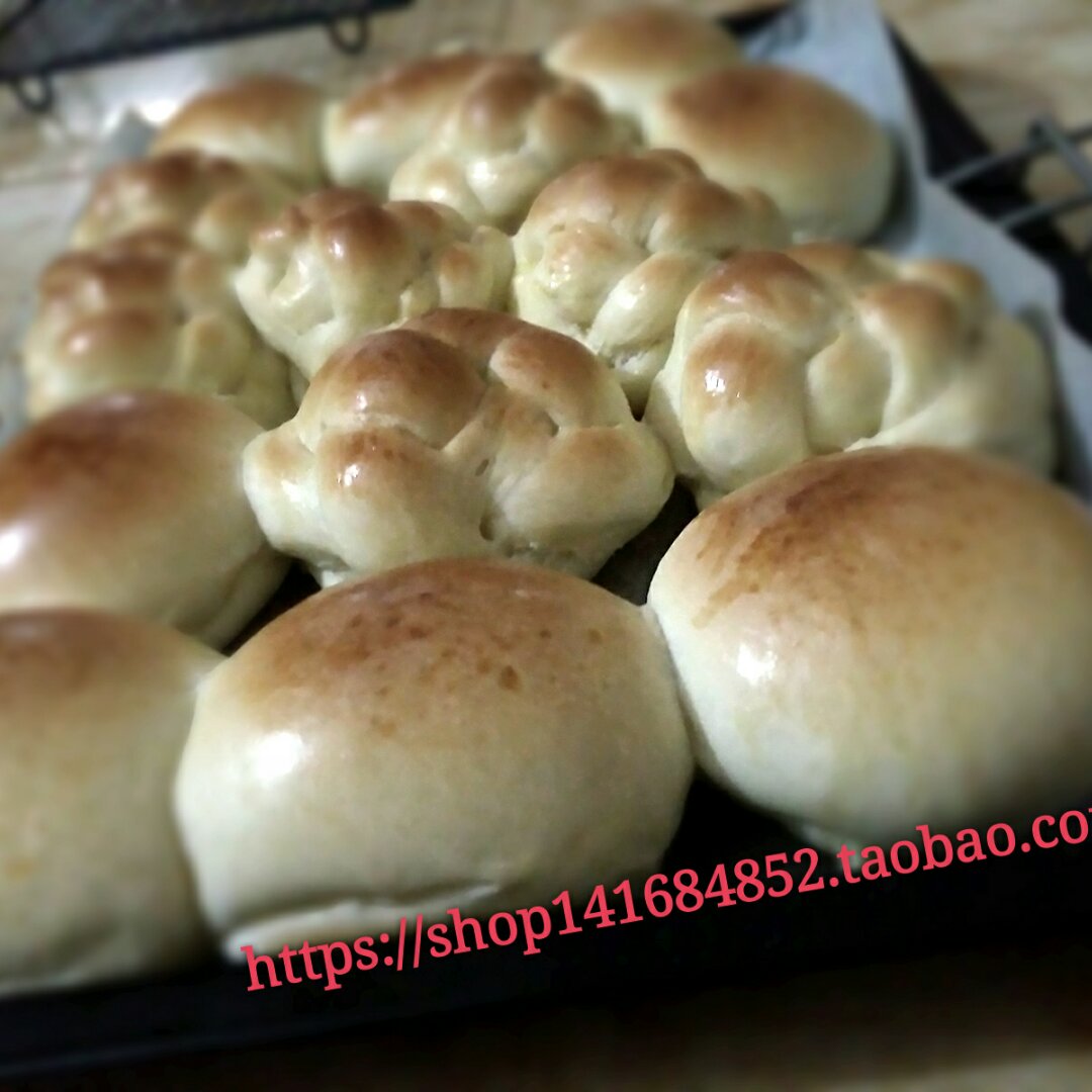 基础面包制作 Basic Bread (Loaf&Roll)