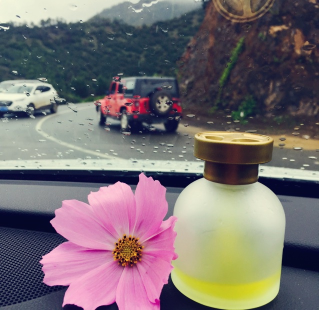 小王子與他的玫瑰花
