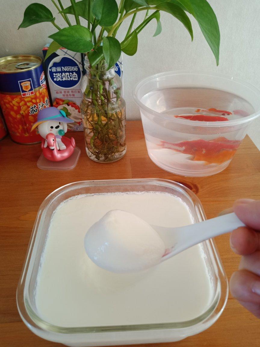 用奶粉自制酸奶