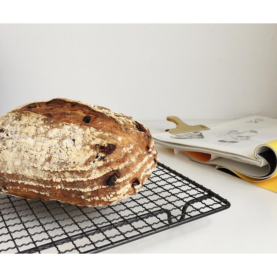 黑麦坚果软欧包 波兰种 中种法