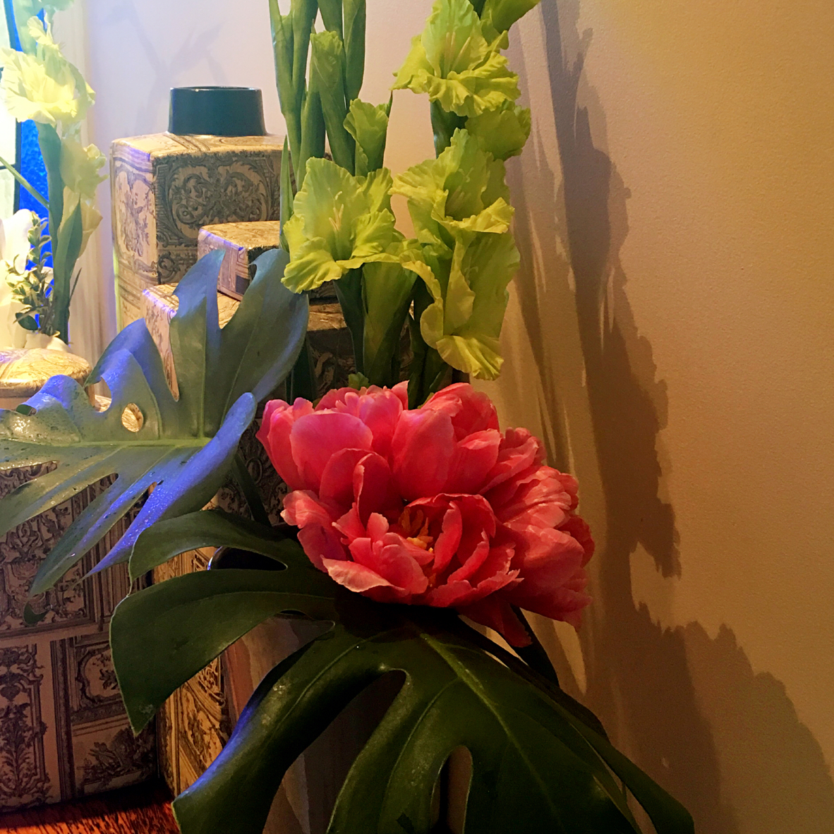 我家的花花草草