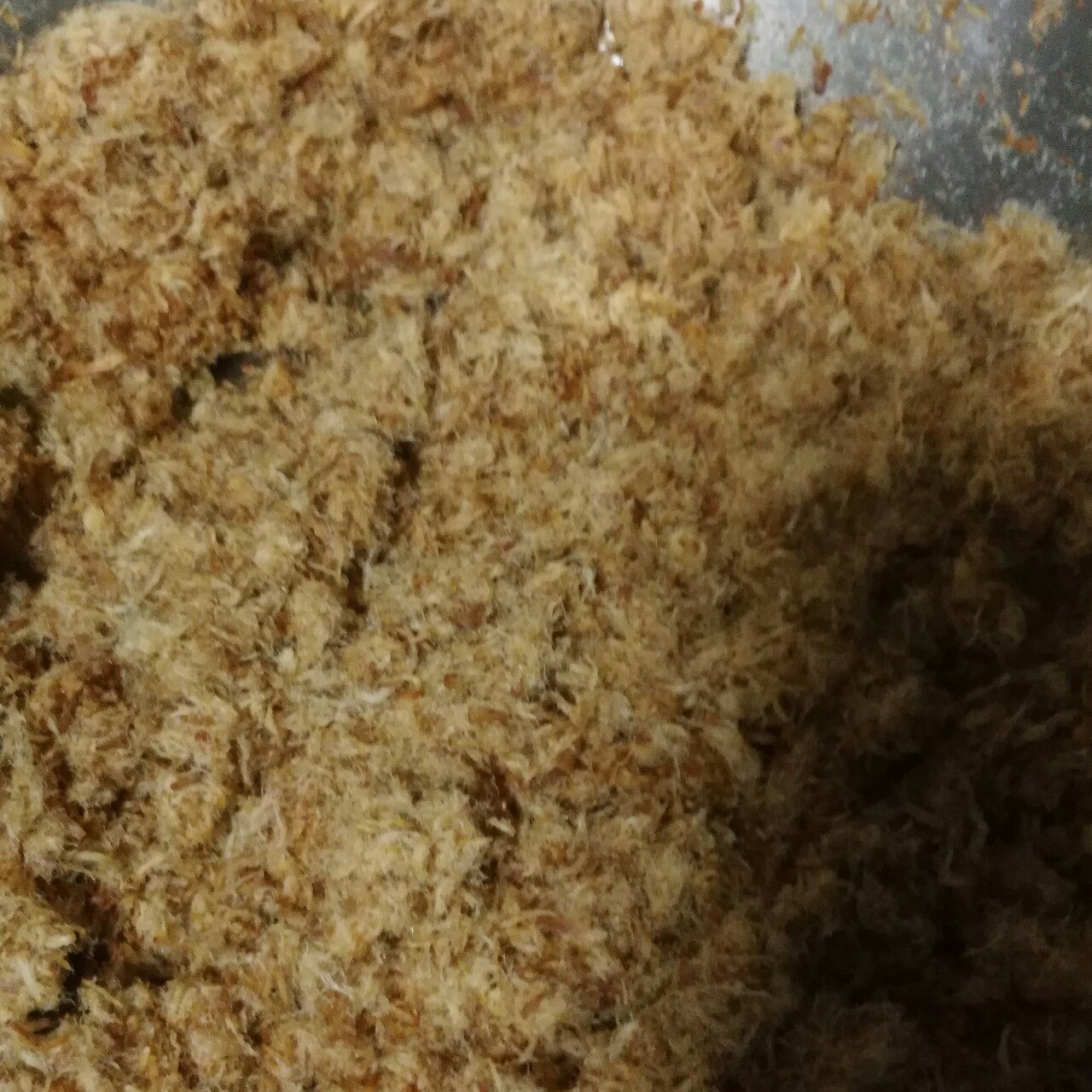 家庭自制肉松（非面包机版）