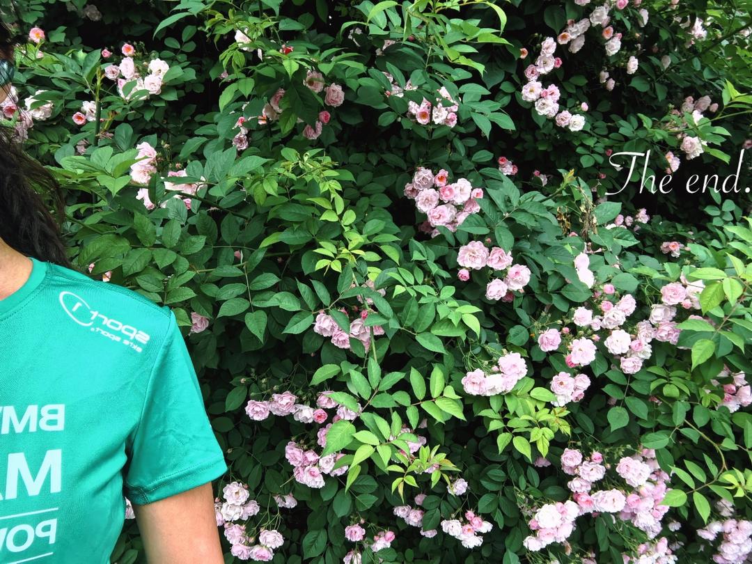 米家的花样早餐贴