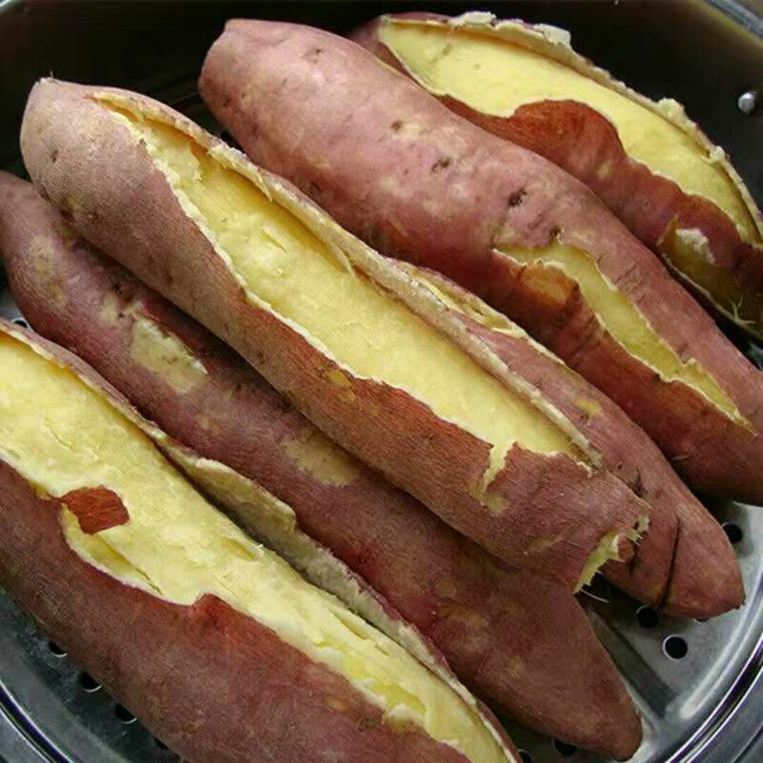 蒸红薯gi图片