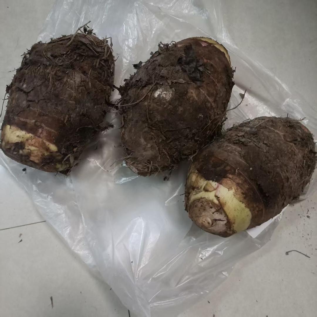 7 消耗芋头的菜谱集锦小芋头荔浦芋头紫薯香芋馅芋泥