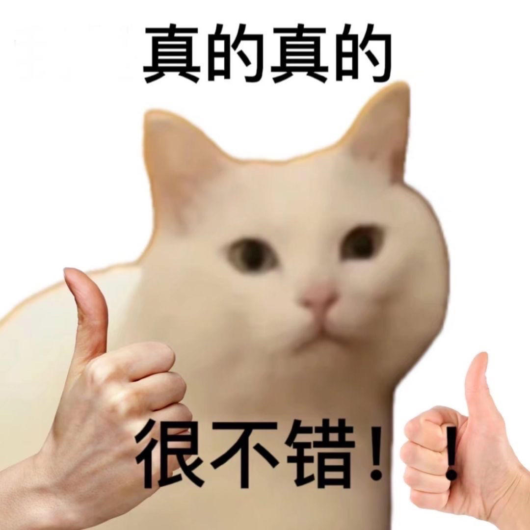 宗师级-厨神