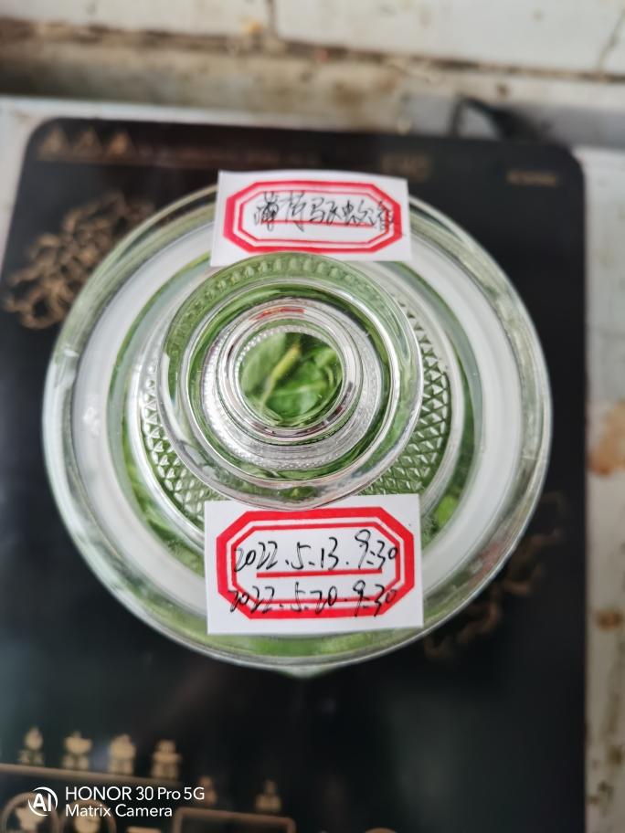 薄荷驱蚊喷雾的做法 步骤6