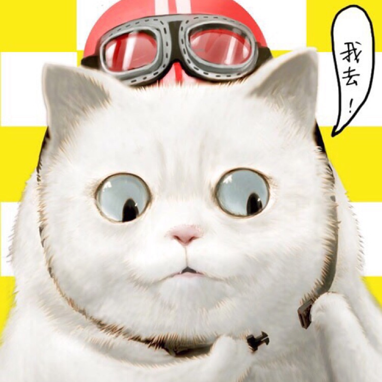D胖猫小迪爱榴莲