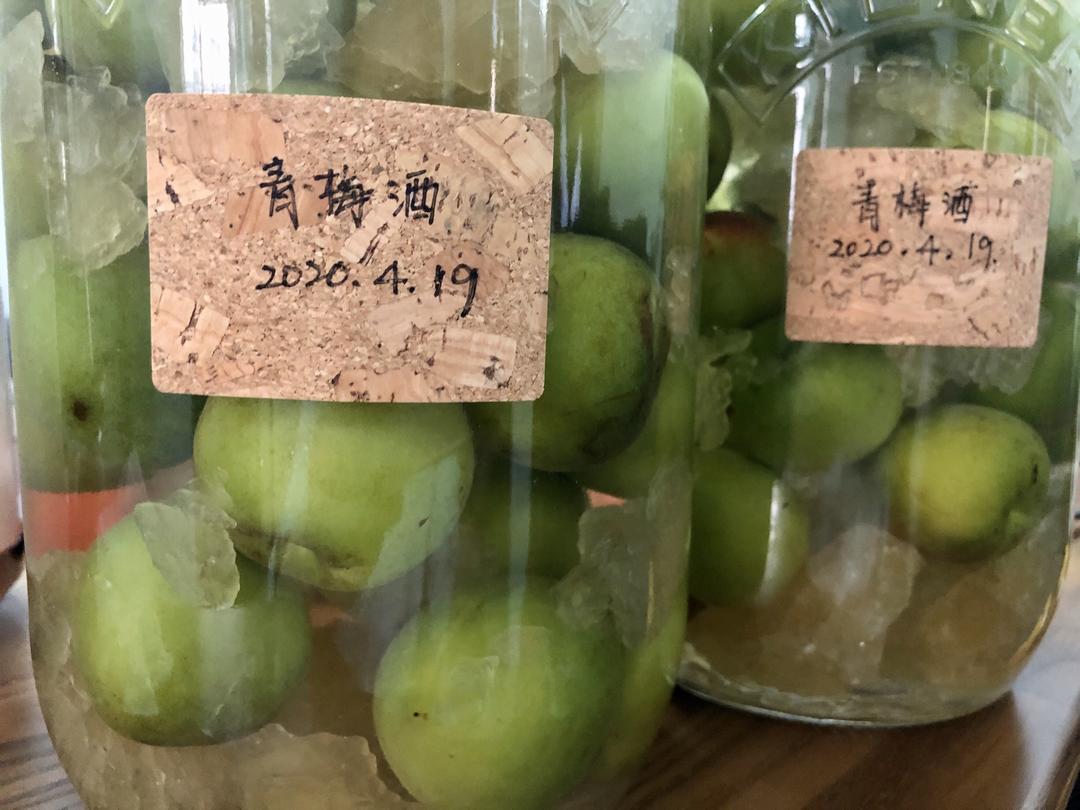 【青梅】与 酒