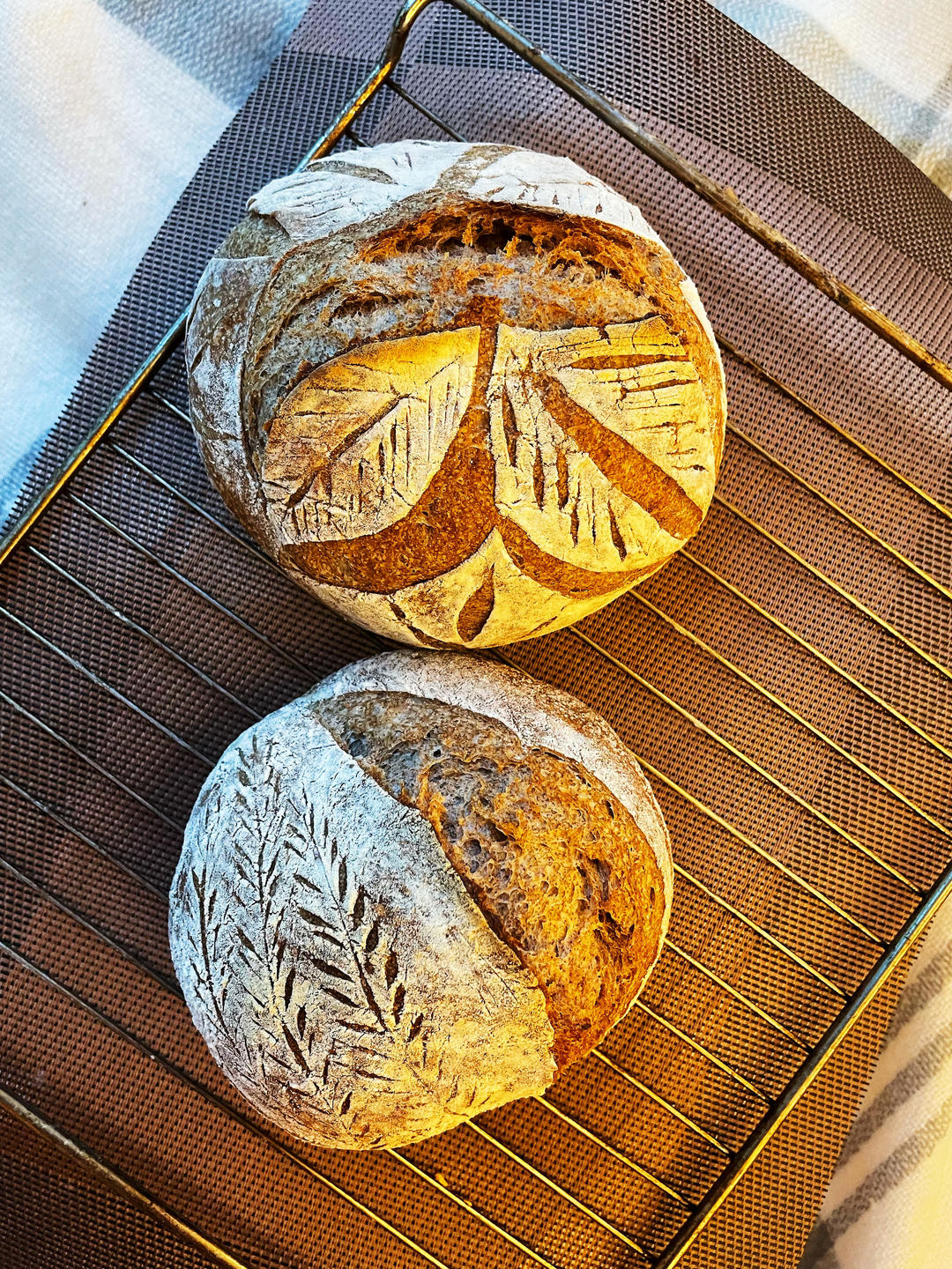 【Tartine Bread】天然酵种黑麦乡村欧包