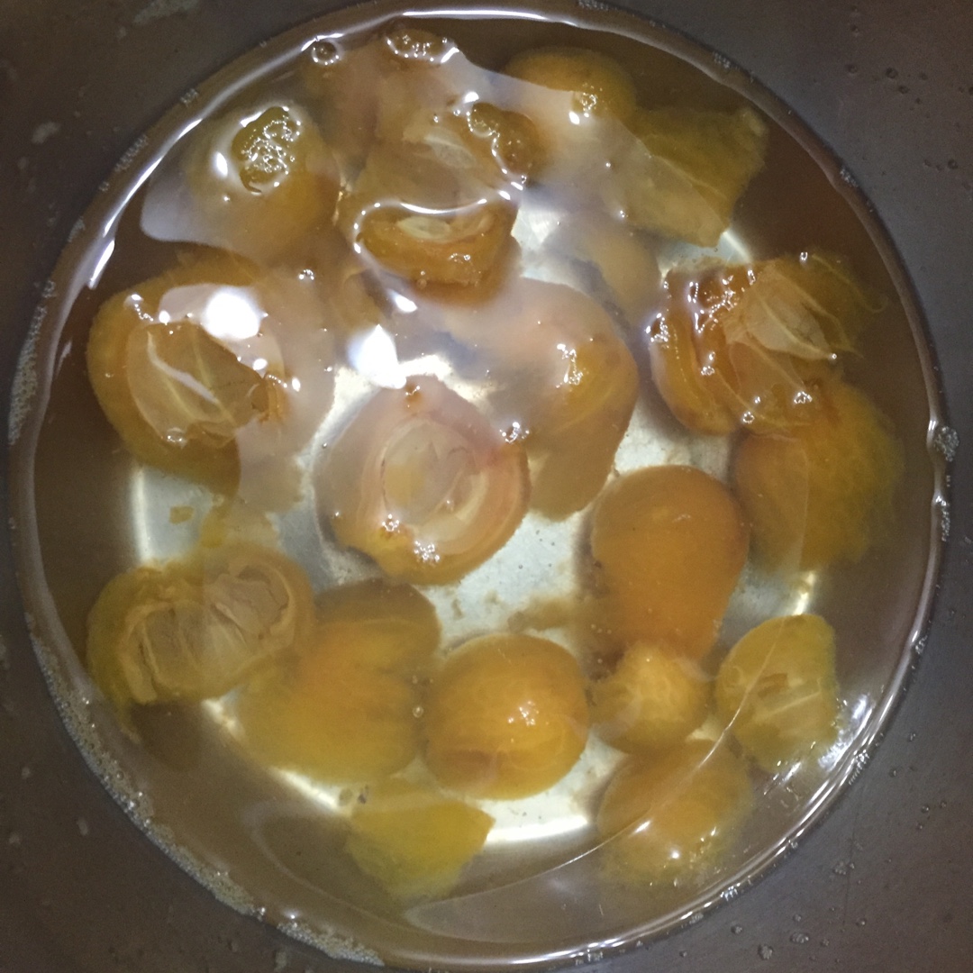 70小步舞曲做的冰糖枇杷水