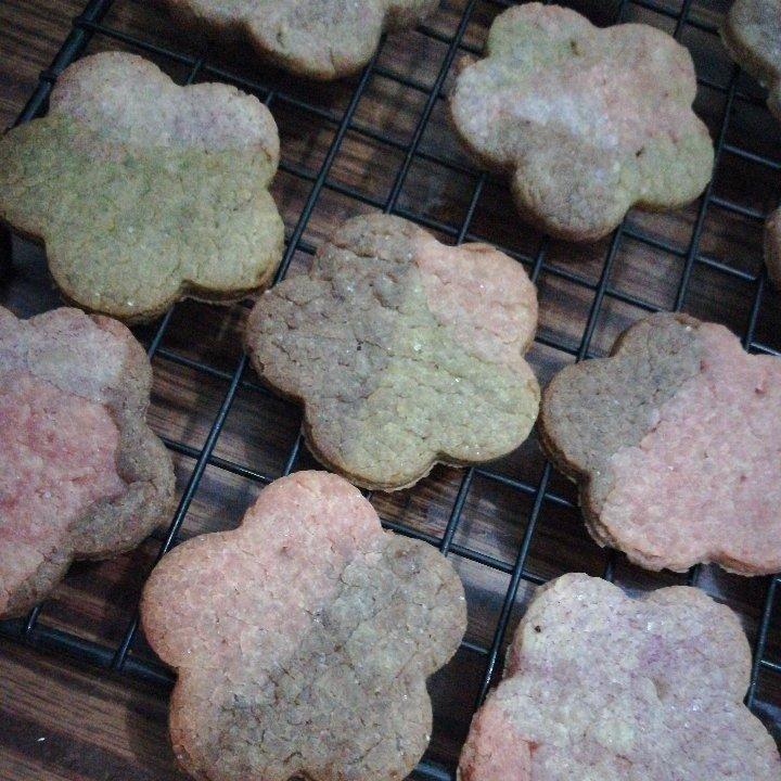 硬质植物油饼干