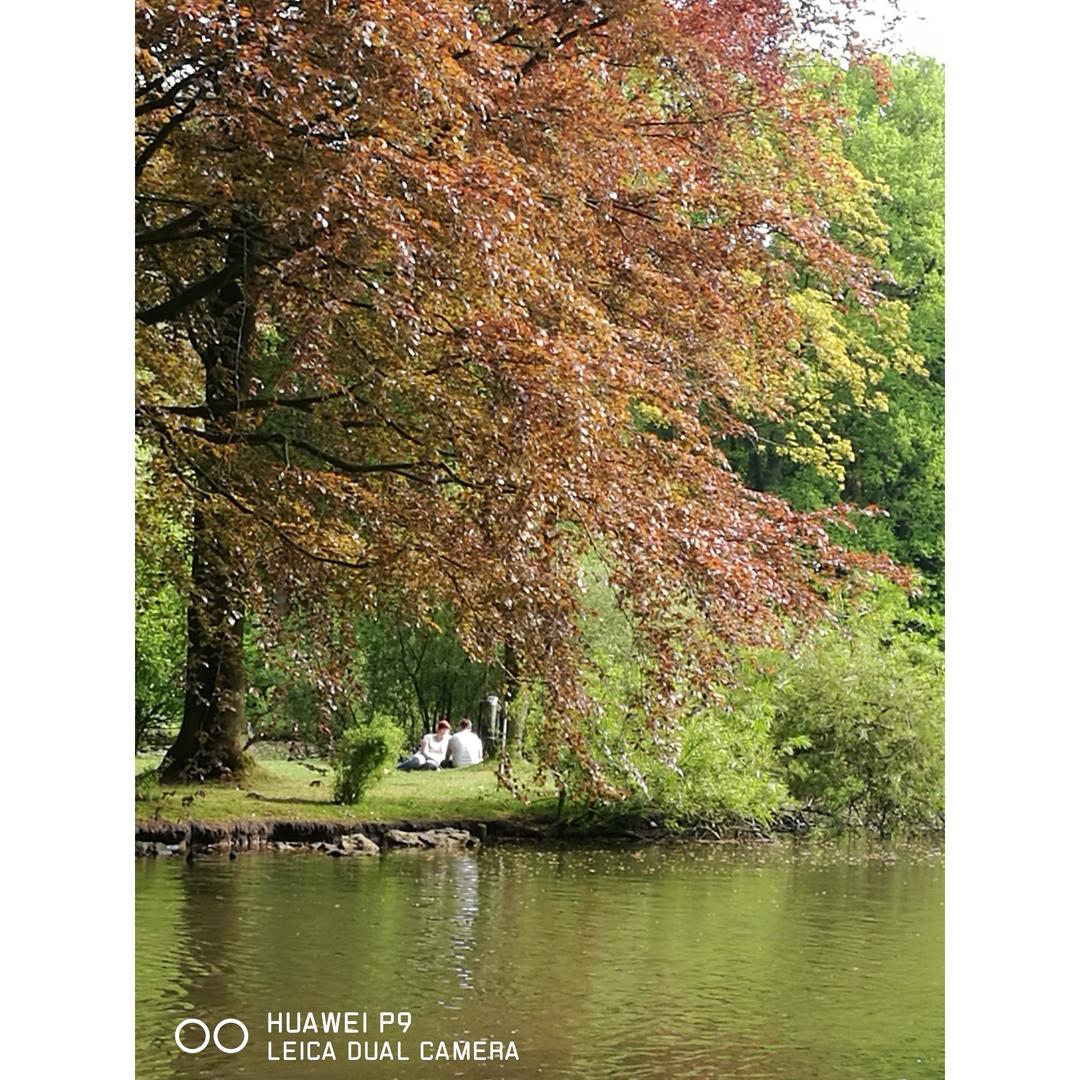 和大自然有个约会