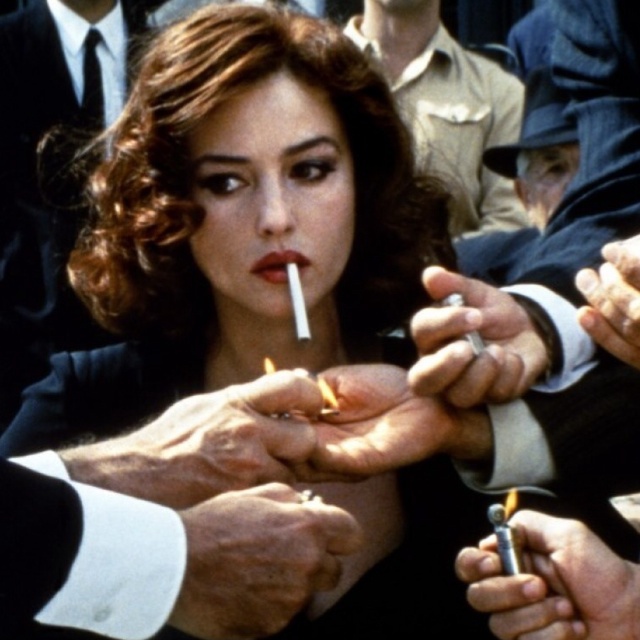 仙草狗尾巴花儿