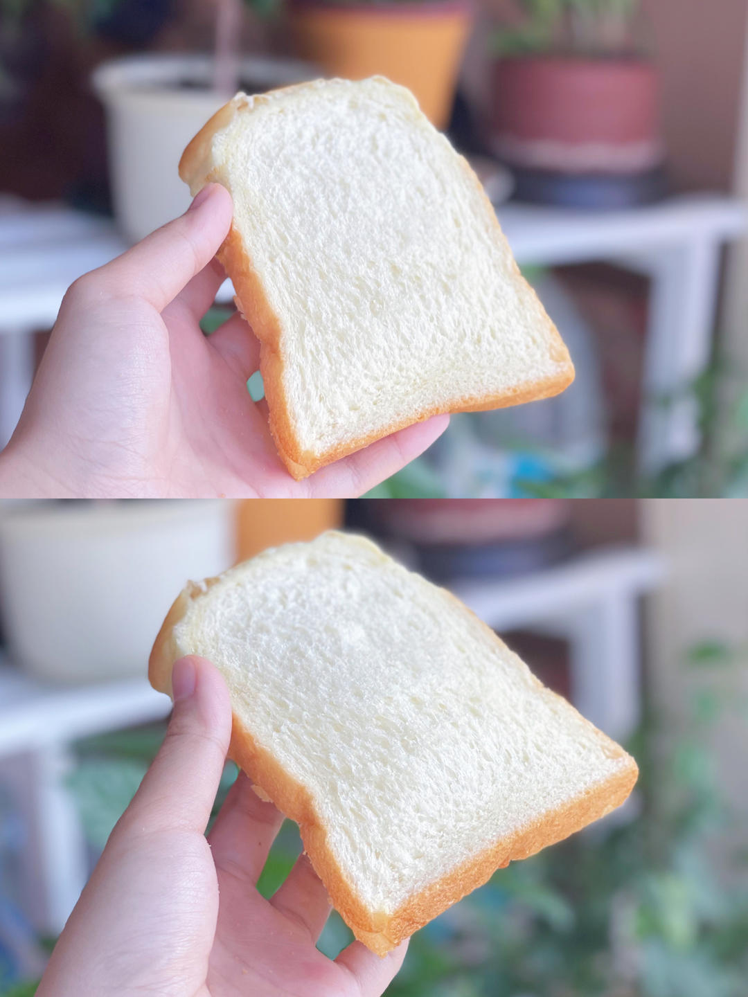 全蛋版本的直接法北海道吐司