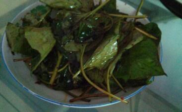 自家鲜 家常简单菜的做法