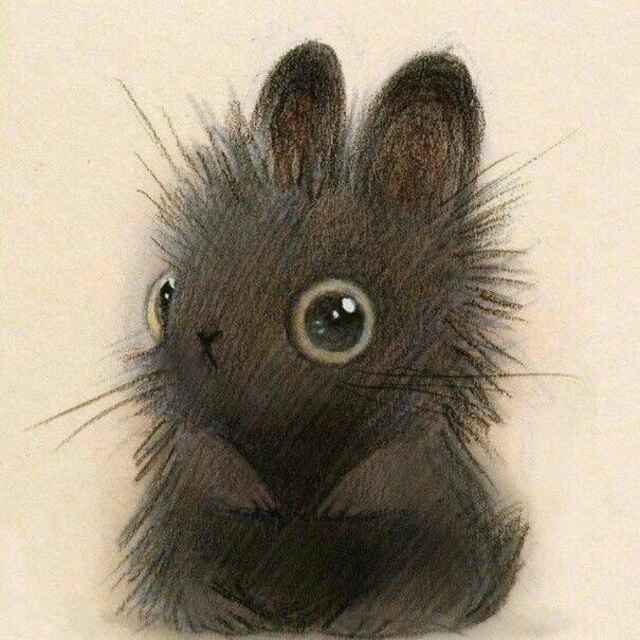 爱吃美味的喵小甜