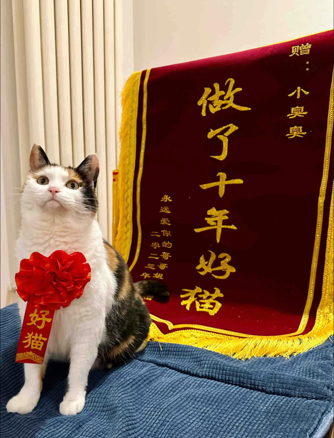 嘎嘎香嘎嘎好吃_