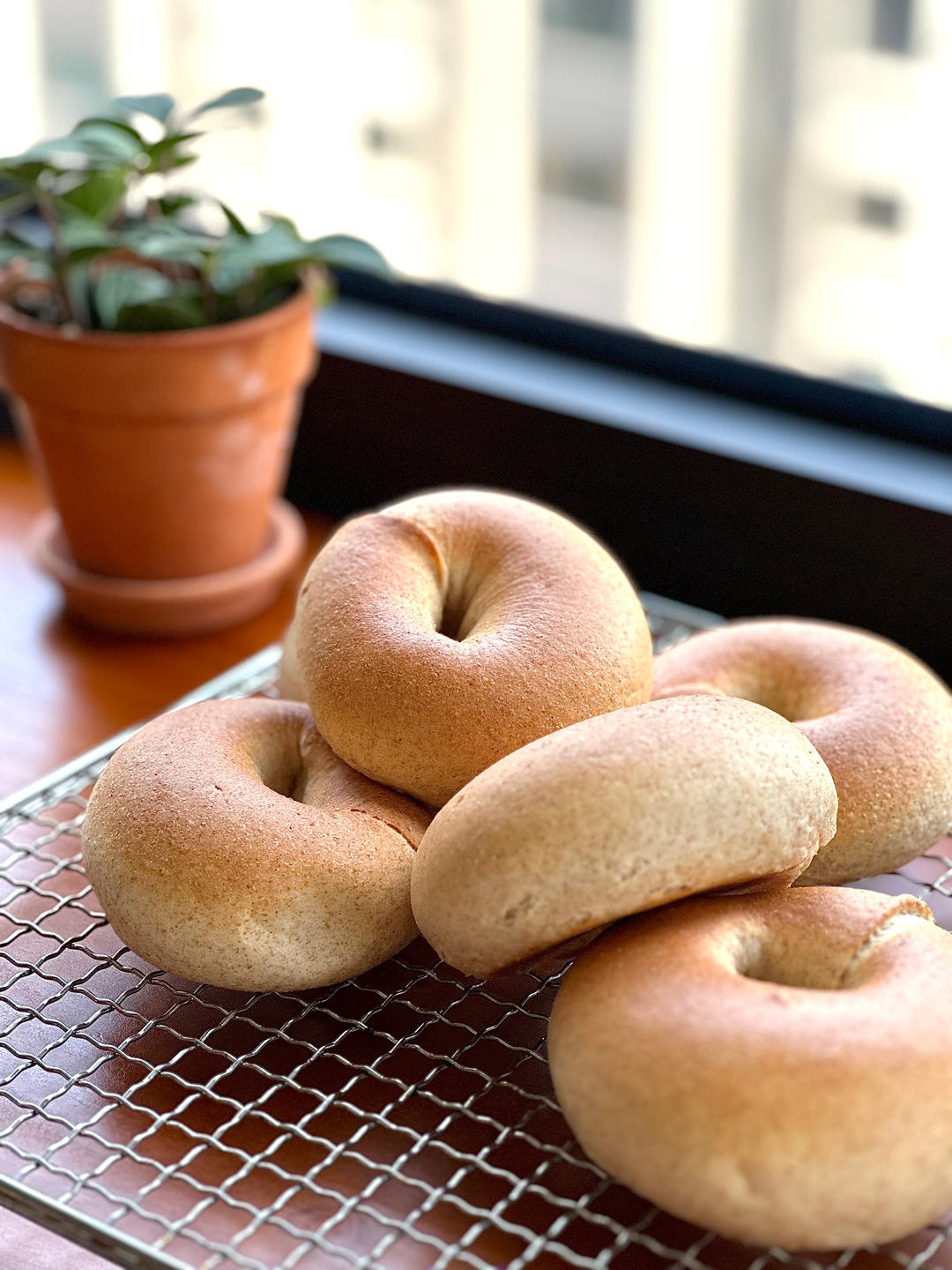 全麦贝果🥯