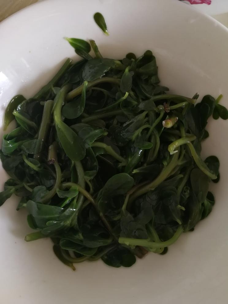 凉拌马齿苋