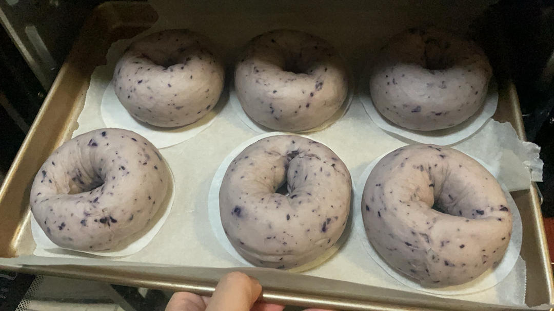 蓝莓🫐乳酪贝果🥯/步骤详细/简单好做