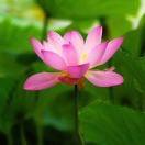 缤纷初秋