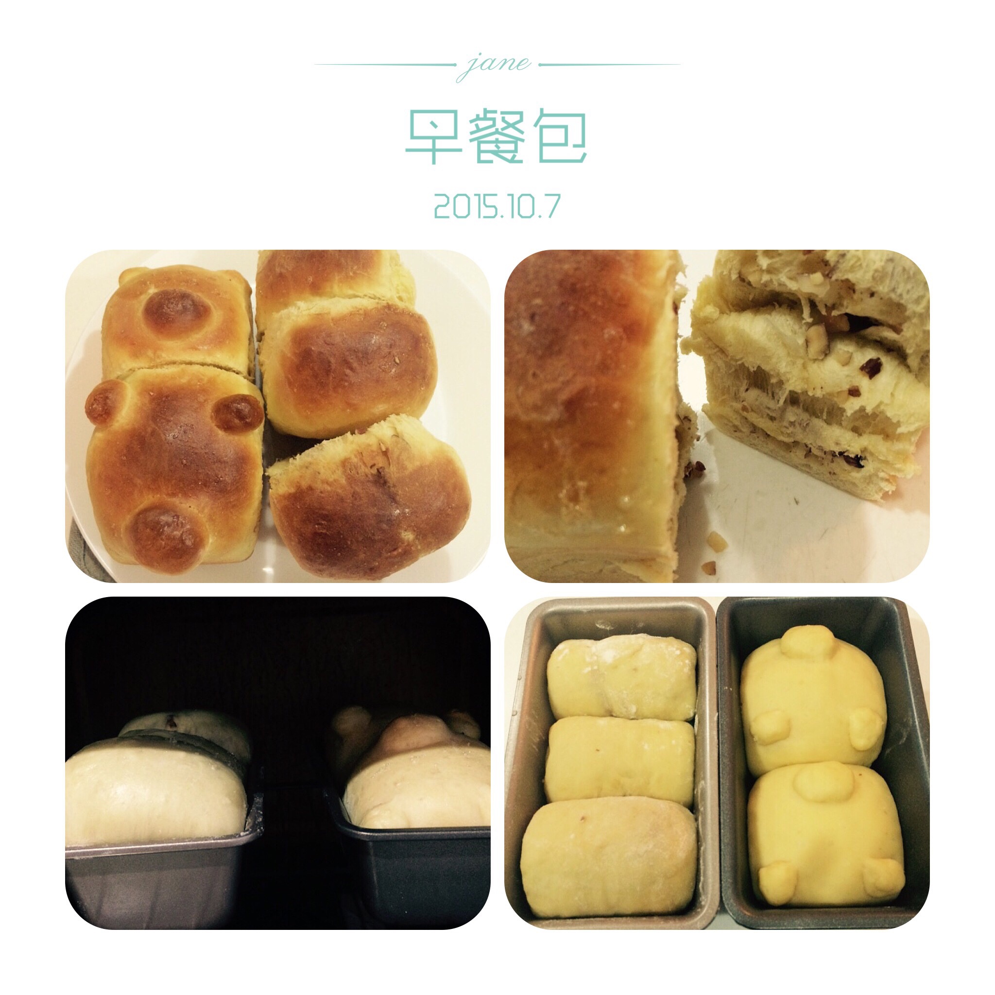 挤挤面包之双色小熊