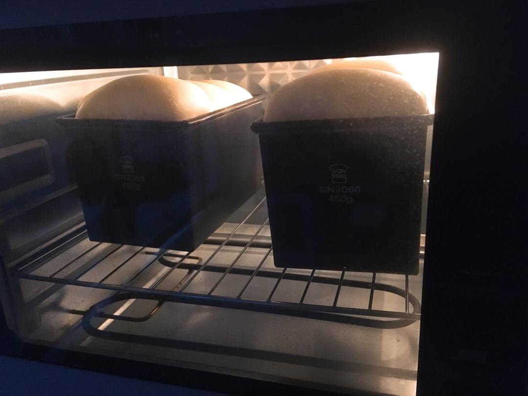 波兰种北海道吐司