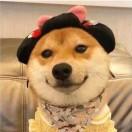 番茄爱吃麦乐鸡