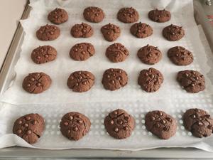巧克力曲奇饼干（趣多多）的做法 步骤4