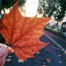 Sanny_64e5