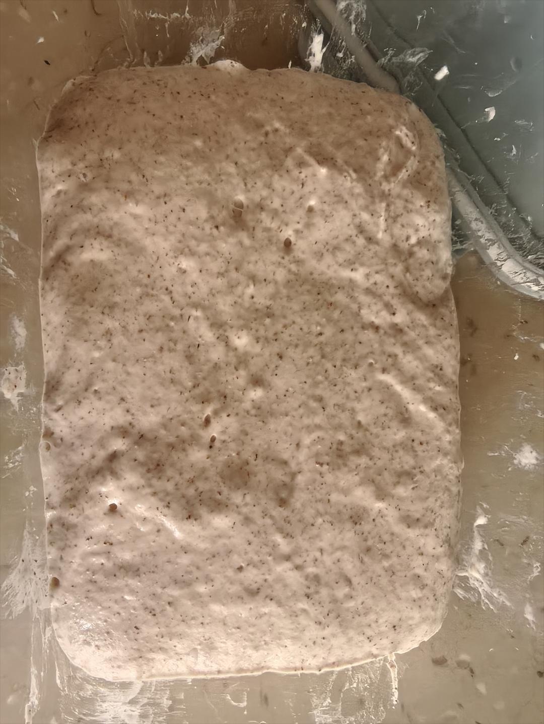 黑麦恰巴塔丨直接法·免酵种·新手友好